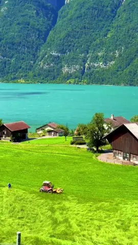 #سويسرا🇨🇭 #بلجيكا🇧🇪_بروكسيل_المانيا_فرنسا_هولندا #الاتحادالاروبي🇪🇺🇪🇺🇪🇺🇪🇺🇪🇺🇪🇺 