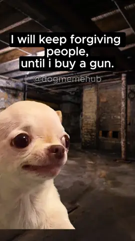 Just wait🌚 #wait #dogmeme #forgiveness #fyp #viralvideo 