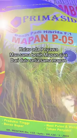 Gongnya mapan lagi promo nihhh ya kali ga diborong #mapan #mapan05 #benihpadi #spallspill01 