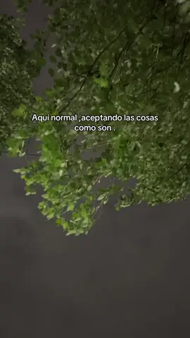 #trsite_realidad😥💔 