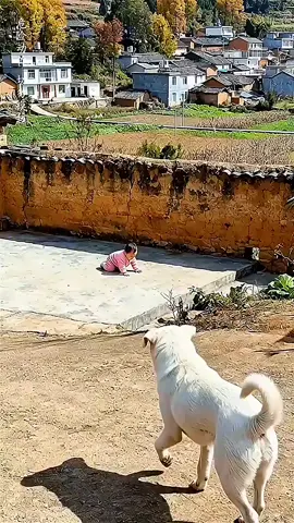 #academia #centrotreinamento #bigiron #musculacao #Fitness 