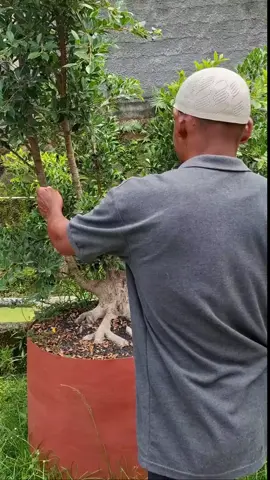 rekomend gregaji super 