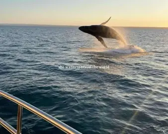 #aesthetic #repost #foryou #travel #life 