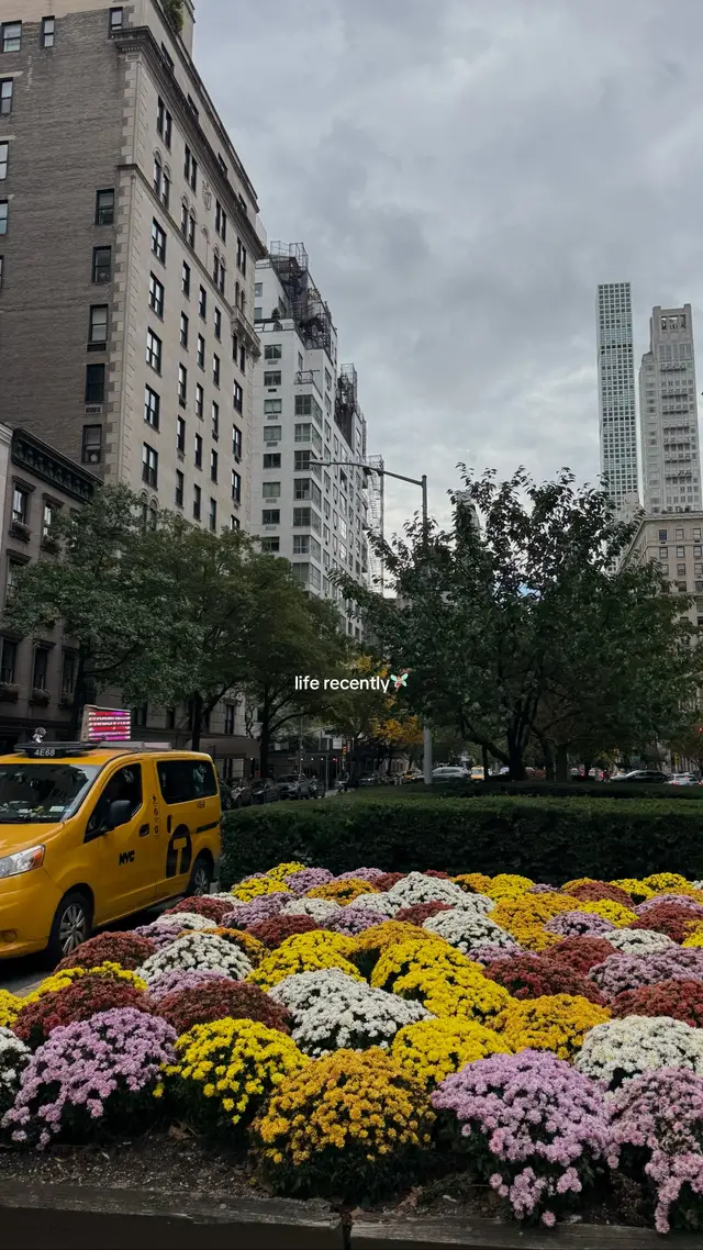 Flowers food fall & fits ✌🏻 #nyc 