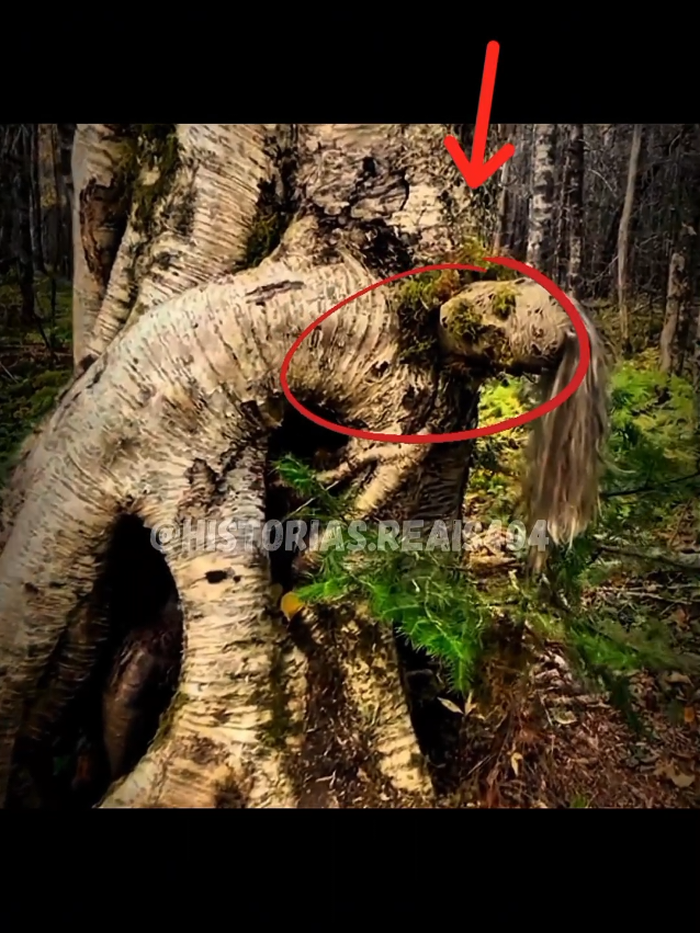 poor girl 🥺 #crimestory #analoghorror #horrortok #truestory #horrorstory 