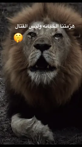 الهزيمه#الهزيمه 