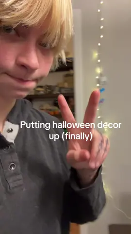 was gonna record the rest of the decorating but i lost motivation so heres my window #halloween #shittywindow #fypシ 