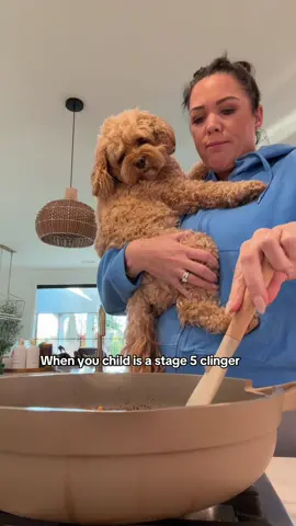 POV: You’re trying to make dinner but your dog thinks you’ve abandoned her forever!! #dogsoftiktok #stage5clinger #dogmom #dogmomlife #dog 