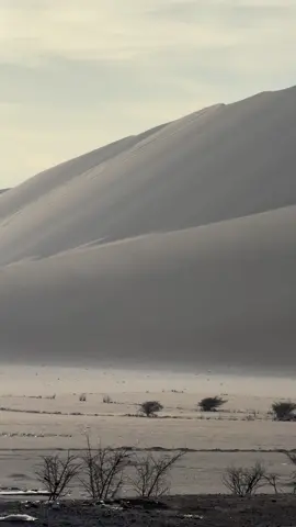 Les paysages désertique de la côte pacifique du Pérou, c’est vraiment magnifique, on se croirait dans Dune ! #backpack #hitchhiker #travelwithdog #peru #travel 