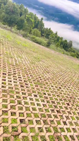 28 okt 25  #fyp #masukberanda #tahurasultanadam #banjarbaru #figamabdad 