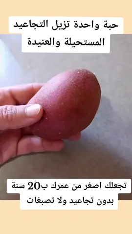 #معلومات #مفيدة 