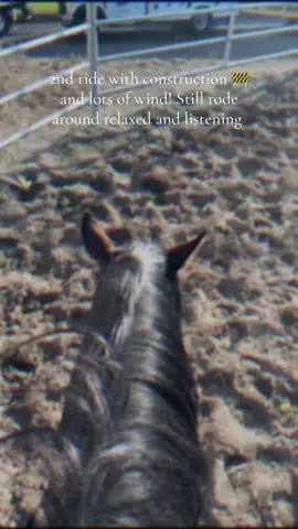 Progress each day is what we look for. She did amazing confidence boosted from yesterday so proud of her. #onthefrosthorsemanship #ledbyfeelbuiltontrust #forsale #goodmindedhorses #bayfilly 