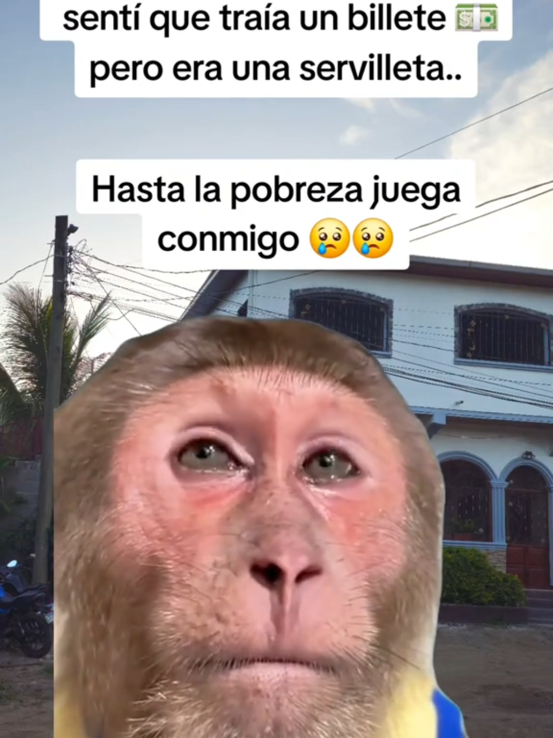 Era una servilleta 😪😪 #Meme #MemeCut #CapCut #billete #servilleta 