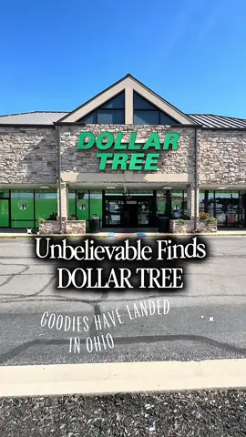 This is your sign to run to Dollar Tree Today!  #dollartree, #storehaul, #bargainshopping, #dollartreefinds, 