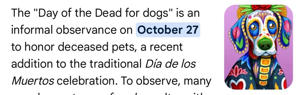 Until we meet again my sweet Zeus🕊️