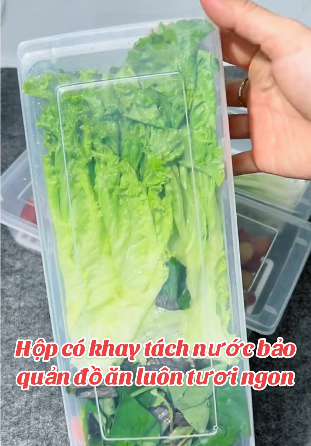 Hộp Việt Nhật có khay tách nước, bảo quản đồ ăn luôn tươi ngon, rau củ không bị ngập úng.#gialinhriviu #hopdungthucpham #hopdungthucphamtulanh #hopbaoquanthucpham #giadungnhabep 