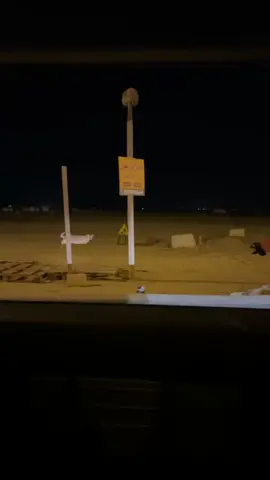 #الشعب_الصيني_ماله_حل😂😂 #فزعه #cat #doglover #catlover 