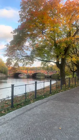 Berlin in the Fall. #berlin #germany #fyp 