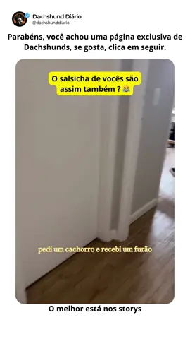 Nos siga @dachshunddiario para mais vídeos como este. . . . #dachshund #dachshunds #dachshundlove #dachshundlife #dachshundpuppy #dachshund_love #dachshundlovers #dachshundoftheday #dachshundsofinstagram #viral #videosengracados #reelsinstagram #reelschallenge #dog #dogsofinstagram #salsichinha #Salsicha