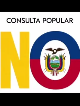 Este 16 de Noviembre al cartón Dile NO. #4VecesNo #NoNoboaNo #AlCartónDileNo #Nobita #Ecuador🇪🇨  @Rafael Correa Delgado @Revolución Ciudadana @Luisa González 