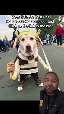 We are counting on you. Click on the link in the bio and Vote Nola for Best Pet Halloween Costume. Let us know you voted. #dogsoftiktok #dog #fyp #petcostume #vote 
