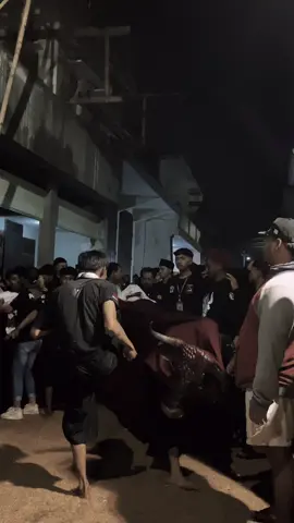 🥀🥀#pancabudi #promomakangajian 