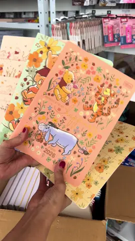 bom custo benefício e ainda são lindos #fyp #papelaria #planners 