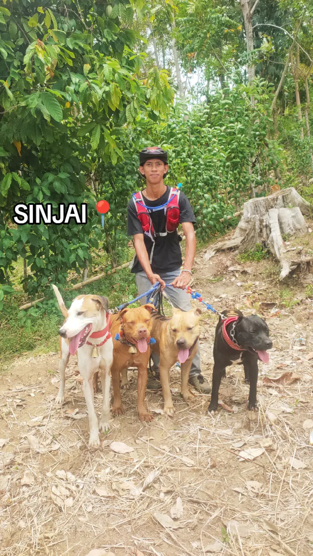 #porbi #fyppppppppppppppppppppppp #porbi50kota #masukberanda #jangkauanluastiktok 