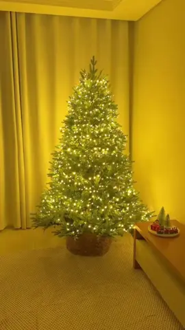 #natal #arvoredenatal #piscapisca #decoracaodenatal 