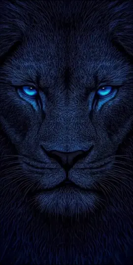 #islamic_video #ethiopian_tik_tok #viraltiktok #fypシ゚ #ethiopianmuslim 