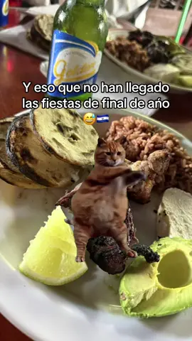 #SanVicenteSV #carnedechucho❤️🇸🇻 #elsalvador🇸🇻 #somosluchadores🇸🇻🇸🇻🇺🇸🇺🇸 #fyp 