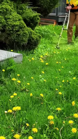 #lawnmowing #lawncare #cleaninggarden #mowingthelawn #cleaningasmr 