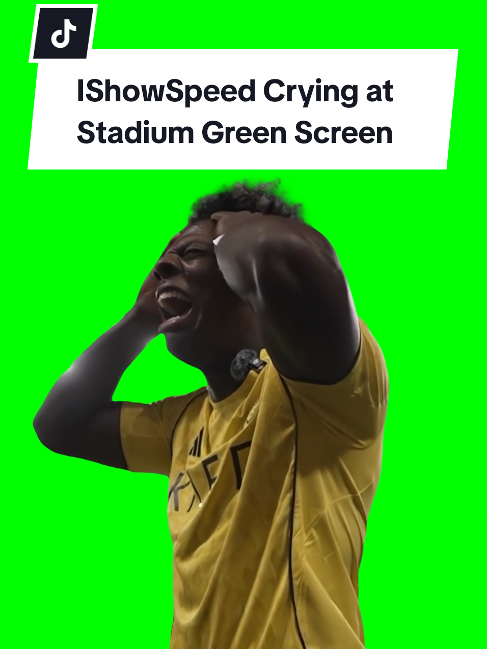 @ishowspeed IShowSpeed Crying and Shouting at the Stadium during an Al-Nassr football match cheering for Cristiano Ronaldo Green Screen Meme Template #ishowspeed #ronaldo #cr7 #football #saudiarabia🇸🇦 