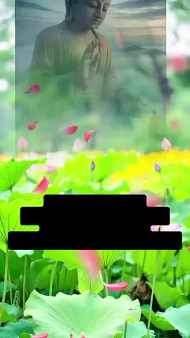 Lời dạy ấy vang lên như một khúc nhạc nhẹ trong tâm, khiến lòng người chợt lắng. Bởi có lẽ suốt cuộc đời, ta vẫn mải miết đi tìm hạnh phúc ở những nơi xa xôi, trong một người, một ước mơ, hay một ngày mai chưa đến. Nhưng nào ngờ, hạnh phúc lại nằm ngay trên từng bước chân ta đi, trong từng hơi thở ta thở, trong nụ cười bình dị của hiện tại. Trong đạo, hạnh phúc là khi tâm không còn bị trói buộc, là sự lặng yên giữa giông bão của cuộc đời. Trong đời, hạnh phúc là khi ta biết yêu mà không đòi hỏi, biết cho đi mà chẳng cần hồi đáp, biết nhìn người bằng ánh mắt bao dung. Khi đạo hòa vào đời, từng giọt sương sớm cũng trở nên thiền vị, từng chiều hoàng hôn cũng chứa cả trời an lạc. Hạnh phúc không ở nơi chùa xa, cũng chẳng ở nơi phồn hoa; nó nở ra từ lòng người, khi tâm đã tĩnh, khi lòng đã sáng. Đôi khi, chỉ cần một tách trà ấm, một ánh nắng nghiêng, hay một bàn tay nắm nhẹ cũng đủ khiến ta thấy đời này thật đáng sống. Vì đạo là hơi thở của đời, và đời khi được sống bằng tình thương và chánh niệm chính là con đường của hạnh phúc vĩnh hằng. Mr.p ✍️ Một Niệm Thương  #chualanh #loihayydep #phatphapnhiemmau #viraltiktok #xuhuong 