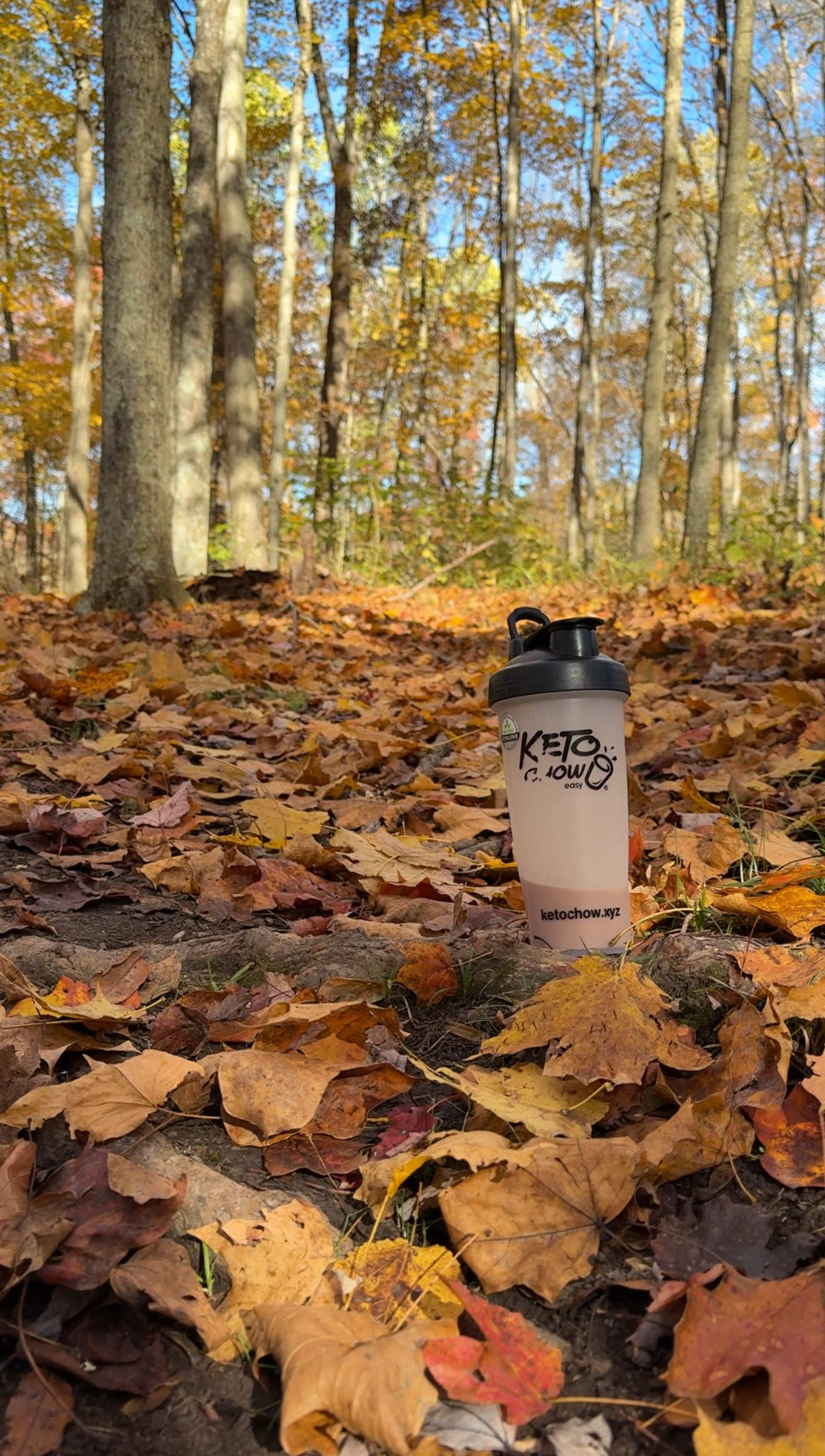 🍂 Start your personalized Autumn reset now with @Keto Chow 🧡💛 #KetoChow #ketochowpartner #lowcarbforwomen #AutumnReset 