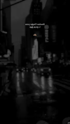 …..!🤍#viral #fypシ゚ #creatorsearchinsights #whatsappstatus #fyppppppppppppppppppppppp 