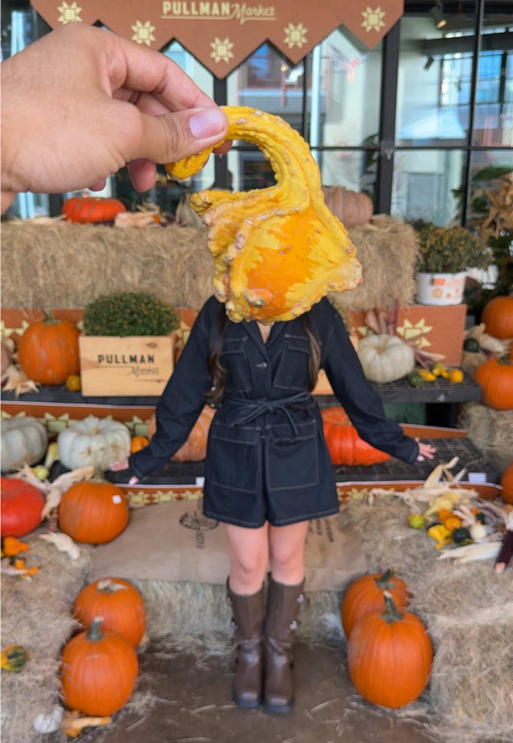 wthelly  #pumpkintrend #trend #couple #bf #pumpkin 