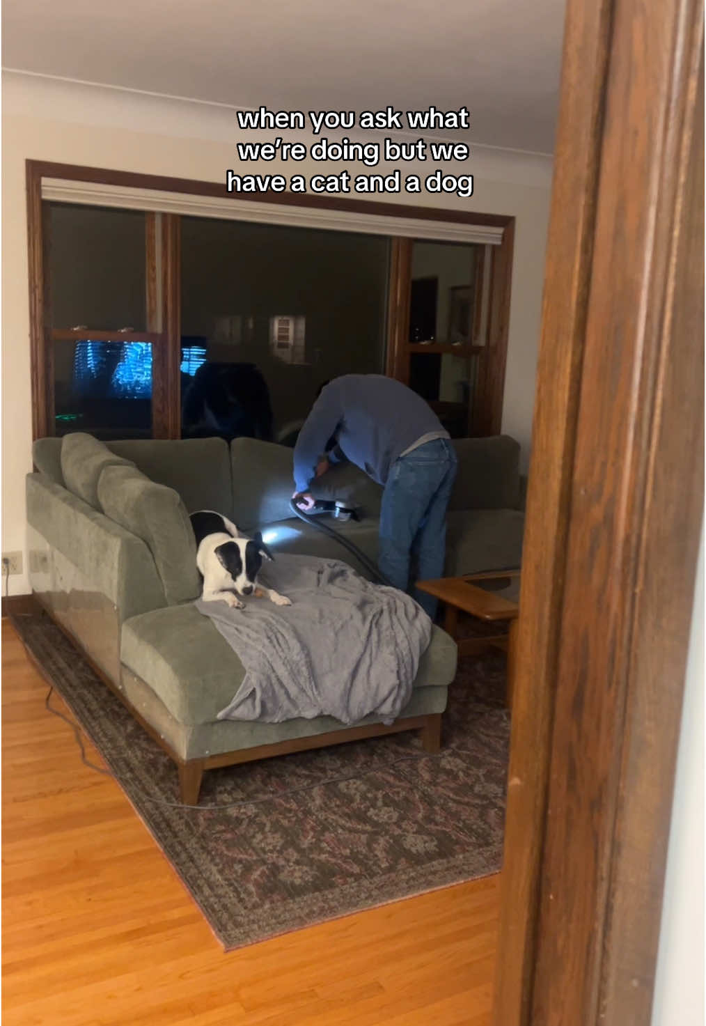 quitting my job to clean my house full time #PetsOfTikTok 