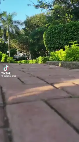 Mi parque amado !!mi patio preferido !!!