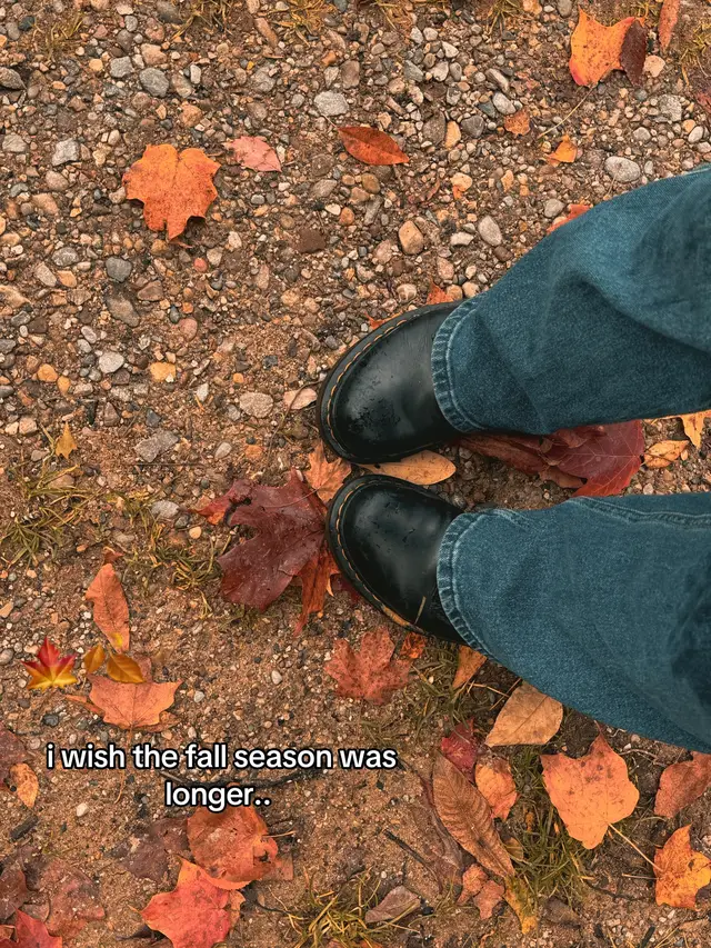 I love fall so much it consumes me, the colors, the air, the rain.. it all seems so perfect 🥹 Im trying to look forward to winter, but its always so cold & dark. Hoping michigan finally gets some snowfall ❄️ #fallleaves #autumnaesthetic #fyp #fallvibes #todaysthoughts 