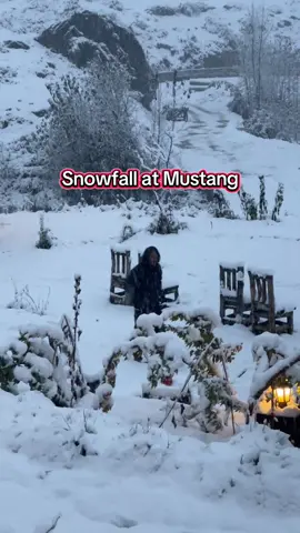 Snow covering MUSTANG