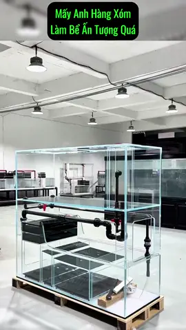 Ấn tượng ban đầu là Sang - Xịn - Mịn #xilo #hoca #cacanh #lochoca #hocacanh 