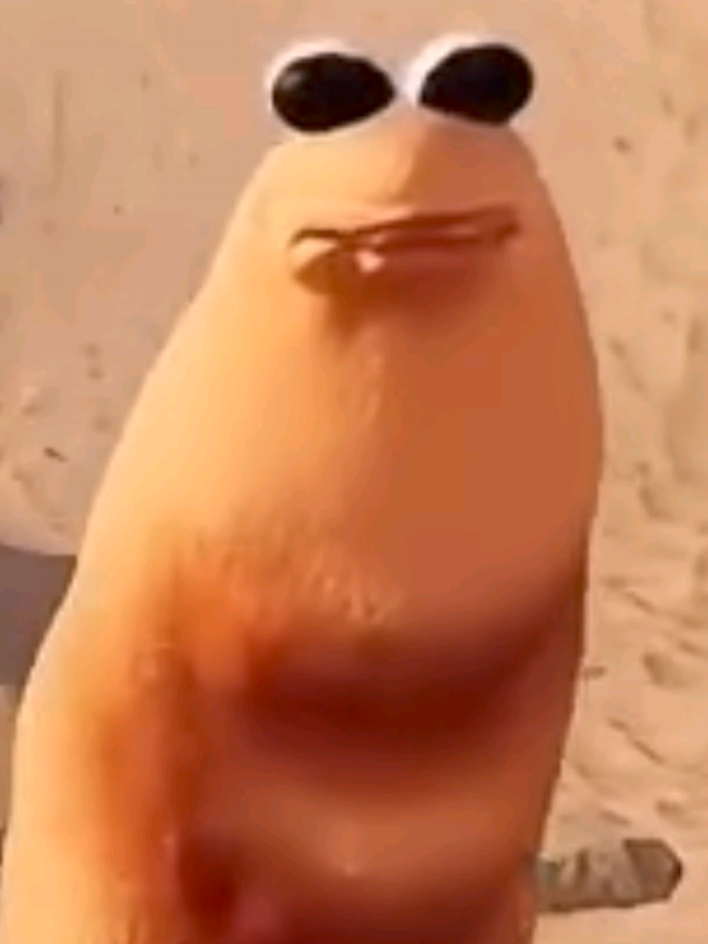 Eu não gosto dessa pedra 👁️👄👁️#robert #meme #entretenimiento #engracado 