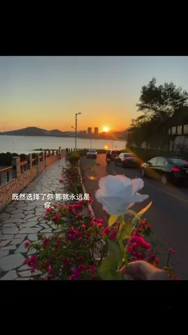 既然选择了你 那就永远是你。 #情感 #Love #治愈 #fyp 