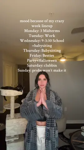 she decided to scale the wall so her tree is in the middle of the room! #week #halloween #cat 