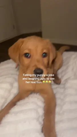 She was so concerned 😭😂😭😂😭😂😭😂😭😂😭😂😭😂