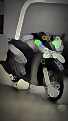 Sh xám titan 2025 #sh #sh160 #xedovietnam #sh125 #honda 