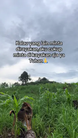 #kalimantanbarat 