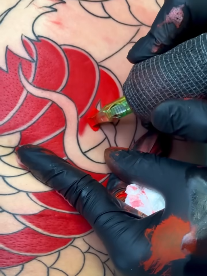 MÁy pen Byfox vào màu mướt quá #Hoanglap  #mayxam