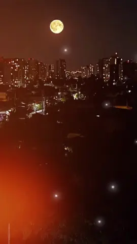 🔥🔥🔥🔥🔥🔥🎶🎶🎶 .....🔥🎶.... #LIVEIncentiveProgram #LIVEStory #PaidPartnership #salsaparadedicar #salsabaul 